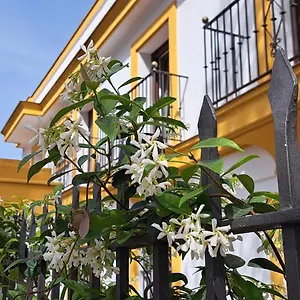 Marcel , Jerez de la Frontera España
